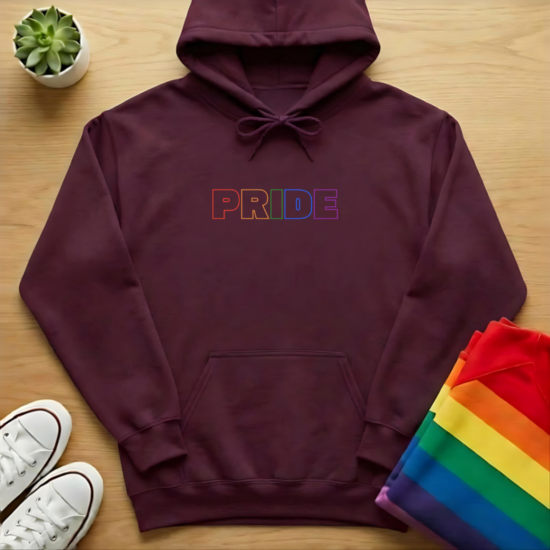 Outlined In Pride Hoodie